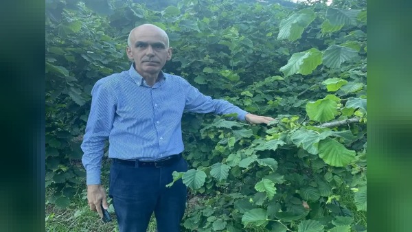 Giresun Ziraat Odası Başkanı Nurittin Karan’dan fındıkta “sessizlik” tepkisi