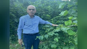 Giresun Ziraat Odası Başkanı Nurittin Karan’dan fındıkta “sessizlik” tepkisi
