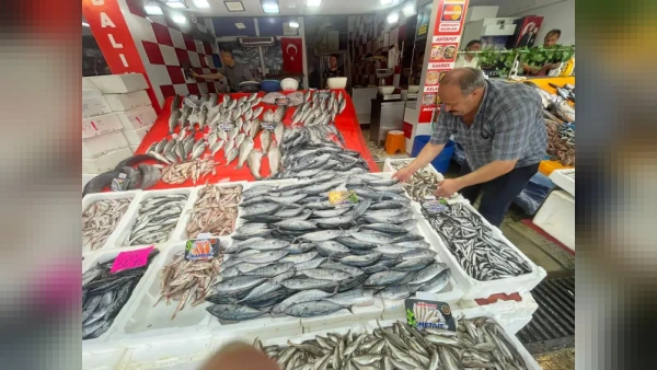 Palamut av sezonu başladı: Av yasağı sona erdi