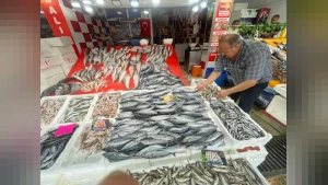Palamut av sezonu başladı: Av yasağı sona erdi