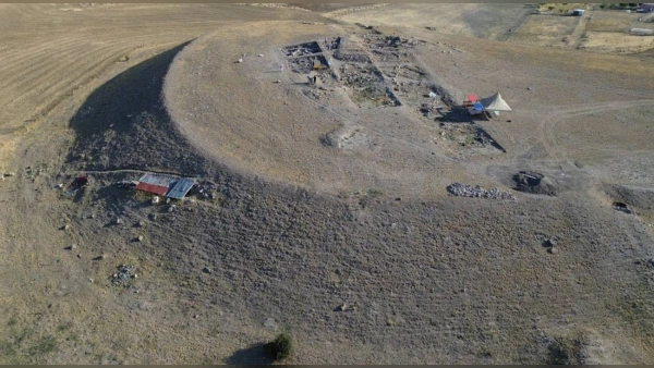 Ankara Gölbaşı'nda 66 Milyon Yıllık Gastropoda Fosili Keşfedildi
