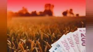 Toprak Mahsulleri Ofisi'nden Üreticilere 4,5 Milyar TL'yi Aşkın Ödeme Desteği