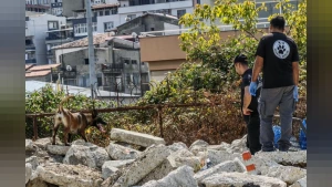 Trabzon K-9 Eğitim Sahası Afet Ekiplerini Buluşturdu