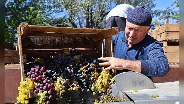 Antalya Büyükşehir Belediyesi'nden Elma Çiftçilerine Üzüm Sıkma Makinesi Desteği