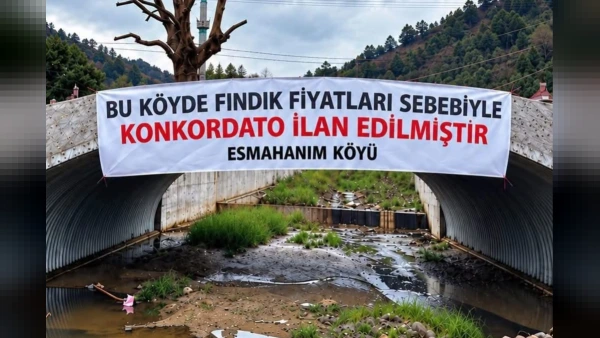Düzce Akçakoca'da Fındık Üreticilerinden Tepki: Köprüye Konkordato Pankartı Asıldı