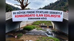 Düzce Akçakoca'da Fındık Üreticilerinden Tepki: Köprüye Konkordato Pankartı Asıldı
