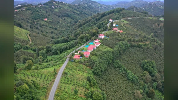 Ordu'da 6 Kilometrelik Yol Asfalt Konforuna Kavuştu