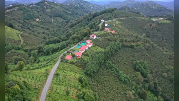 Ordu'da Kritik Güzergâh Asfalt Konforuna Kavuştu