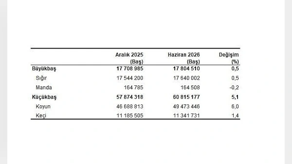 TÜİK Haziran 2026 Hayvancılık Verilerini Açıkladı: Büyükbaş ve Küçükbaş Hayvan Sayısı Artışta