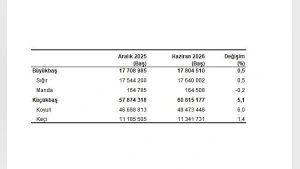 TÜİK Haziran 2026 Hayvancılık Verilerini Açıkladı: Büyükbaş ve Küçükbaş Hayvan Sayısı Artışta