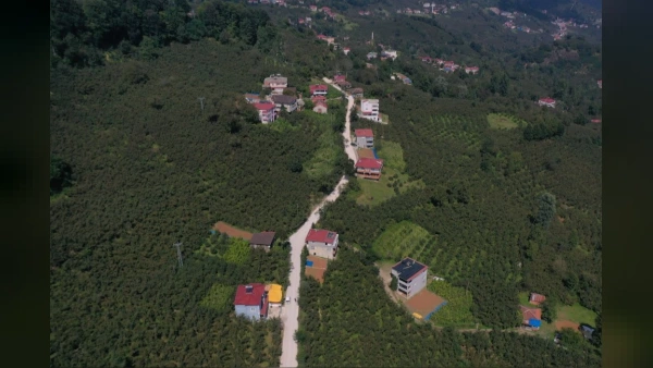 Ordu'da Yılların Çilesi Bitti: Sevdeş Bağlantı Yoluna Beton Konforu