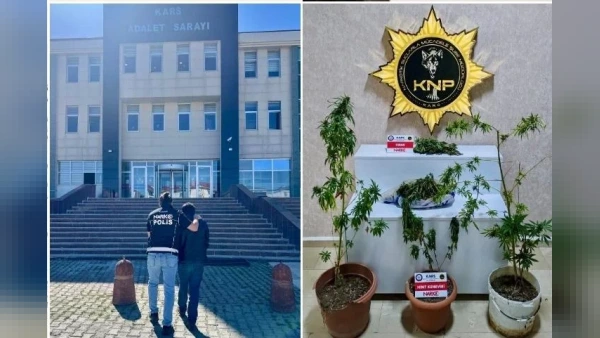 Kars'ta Narkotik Operasyonu: Evde Esrar ve Hint Keneviri Ele Geçirildi