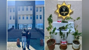 Kars'ta Narkotik Operasyonu: Evde Esrar ve Hint Keneviri Ele Geçirildi