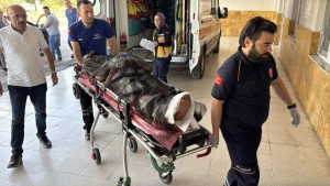 Sivas Zara'da Ayı Dehşeti: Yaylada Saldırıya Uğrayan Çoban Helikopterle Hastaneye Kaldırıldı