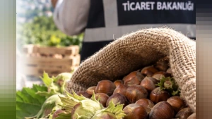 Ticaret Bakanlığı'ndan Fındık Piyasasına Yakın Markaj: Ordu ve Giresun Borsalarında Denetim Başlatıldı