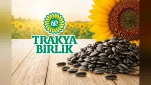 Trakya Birlik Ayçiçeği Ön Alım Fiyatını Açıkladı: Ton Başına 37 Bin TL