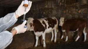 Bakan Yumaklı Erzurum’da duyurdu: Hayvancılığa yeni destekler geliyor