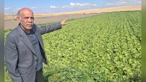 DP Beypazarı İlçe Başkanı Enver Atak Sahaya İndi: Çiftçi Artan Girdi Maliyetleri Altında Eziliyor