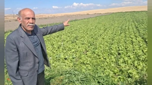 DP Beypazarı İlçe Başkanı Enver Atak Sahaya İndi: Çiftçi Artan Girdi Maliyetleri Altında Eziliyor