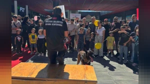Maltepe'de Miniklere Hayati Eğitim: Arama Kurtarma Köpeği Zeyna Şenliğe Damga Vurdu