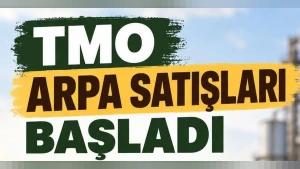 Beypazarı Ziraat Odası'ndan Açıklama: TMO Arpa Satışları Başladı