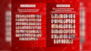 İçişleri Bakanlığı Duyurdu: Yurt Dışına Kaçan 76 Firari Türkiye'ye İade Edildi
