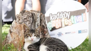 Kadıköy Çizgi Festivali Başlıyor: Yoğurtçu Parkı'nda 3 Günlük Sanat ve Sinema Şöleni