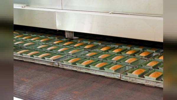 Bursa Büyükşehir Belediyesi’nden Siyez Buğdayı Atağı: Türkiye Ortalaması Aşıldı, Halk Ekmek 55 TL’den Satışta
