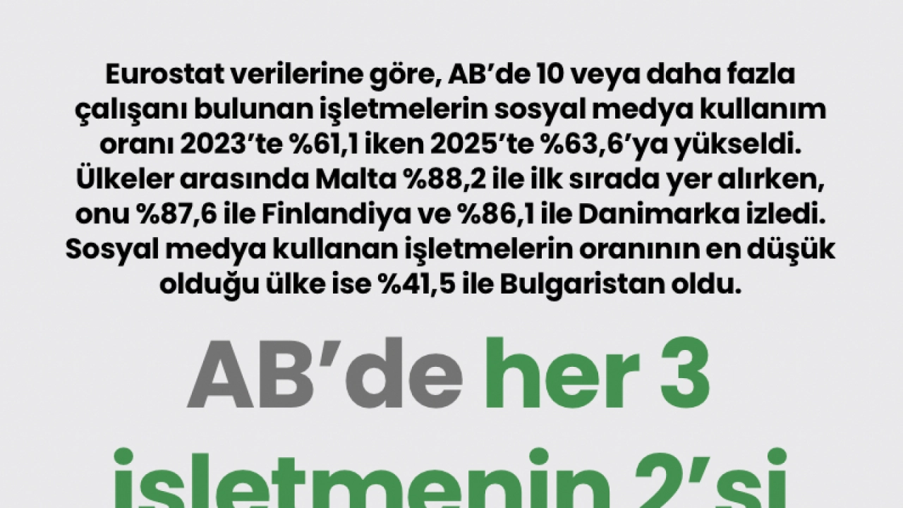 AB Şirketlerinde Sosyal Medya Kullanımı 2025'te Yüzde 63,6'ya Ulaştı