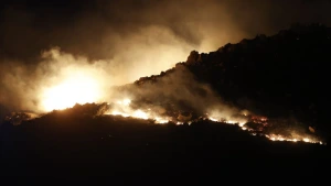 Bodrum'da makilik alan yangını