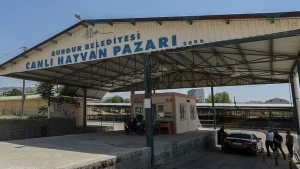 Burdur Belediyesi Canlı Hayvan Pazarı Şap Hastalığı Nedeniyle Kapatıldı