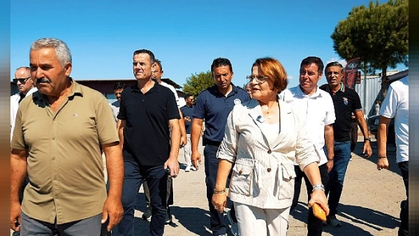Gündemin Nabzı: THY'nin Dev Uçak Anlaşmasından Teknolojik Yeniliklere ve Yerel Projelere Günün Özeti