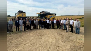 Edirne'de Çeltik Hasadı Coşkusu: Meriçler Tarım'ın İlk Ürünleri Toplandı