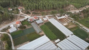TOKİ 47 İlde 405 Arsayı Satışa Çıkarıyor: 48 Ay Vade ve Peşin Alımda Yüzde 15 İndirim Fırsatı