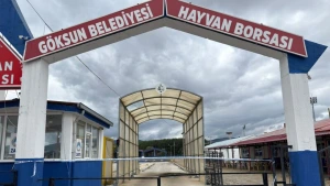 Kahramanmaraş Göksun Hayvan Borsası Şap Hastalığı Nedeniyle Kapatıldı