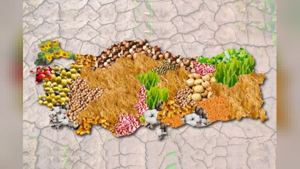 Tarım ve Bakanlığı 2025 Yılı Tarımsal Örgütlenme Bilgilerini Paylaştı