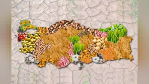 Tarım ve Bakanlığı 2025 Yılı Tarımsal Örgütlenme Bilgilerini Paylaştı