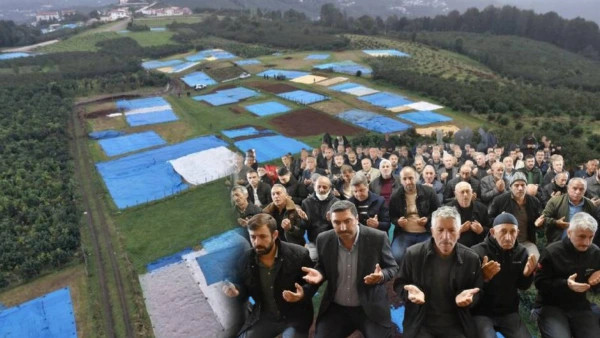 Ordu'da Yağış Nedeniyle Fındığı Kurutmakta Zorlanan Üreticiler Güneş Duasına Çıktı