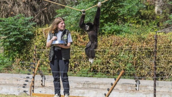 Gibonlarından Ayrılmayan Bakıcı Tuğçe Nur Bostancı İzmir'e Taşındı