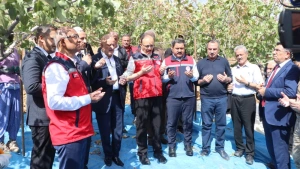 Siirt Fıstığı Festivali Başladı: 32 Bin Ton Rekolte ve 50 Milyar Liralık Katkı Bekleniyor