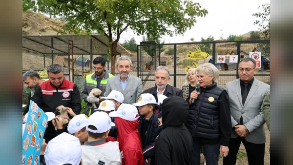 Talas Pati Evi Doğal Yaşam Alanında 4 Ekim Coşkusu: 11 Binden Fazla Can Dostuna Yuva Oldu