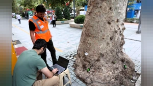 Kocaeli'de Anıt Ağaçlar İçin Bilimsel İnceleme Başlatıldı