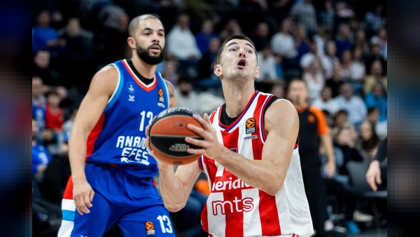 Bahçeşehir Koleji Sırp basketbolcu Luka Mitrovic'i transfer etti
