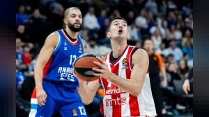 Bahçeşehir Koleji Sırp basketbolcu Luka Mitrovic'i transfer etti