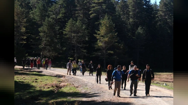 Sakarya'da doğa yürüyüşleri İnönü ve Ercova yaylalarında devam etti