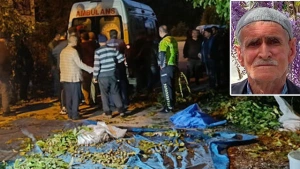 Burdur'da ceviz toplamak için ağaçtan düşen yaşlı adam hayatını kaybetti