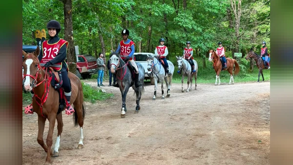 Gebze'de Uluslararası Atlı Dayanıklılık Yarışları Düzenlenecek
