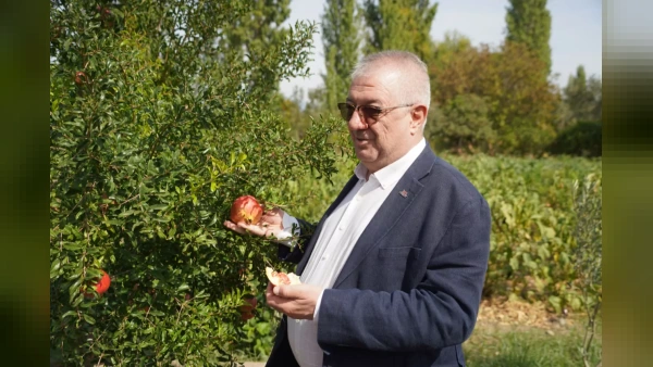 Edremit'te 137 çeşit ata tohumu koruma altına alındı