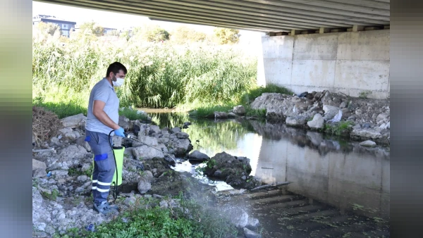 Çanakkale'de karasinek ve sivrisinek mücadelesi