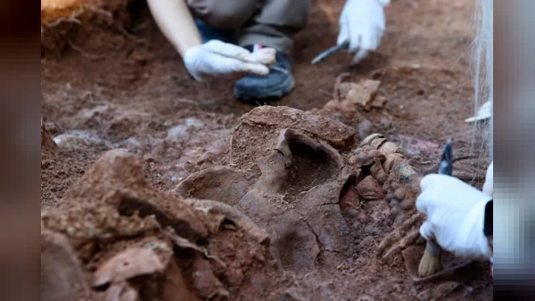 Ordu Kurul Kalesi kazılarında yeni tarihi eserler gün ışığına çıkıyor